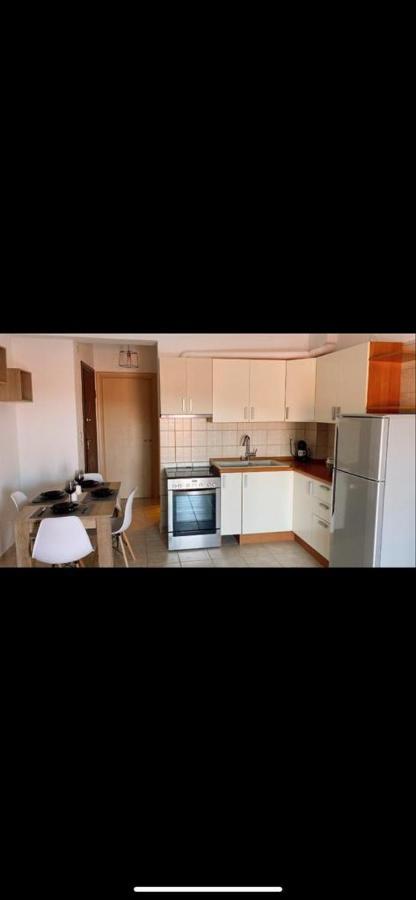 Dandelion Apartment
