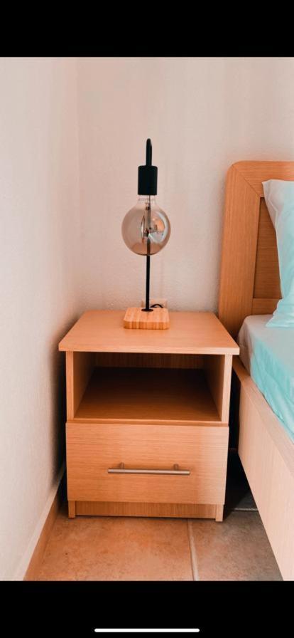 Dandelion Apartment *